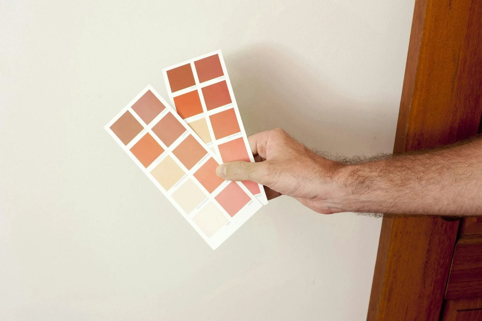 Best Exterior Paint Colours for Homes in Whangārei